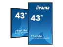 iiyama ProLite LH4341UHS-B2 43" Class (42.5" viewable) 4K UHD IPS LED-backlit LCD Digital Signage Display thumbnail 10