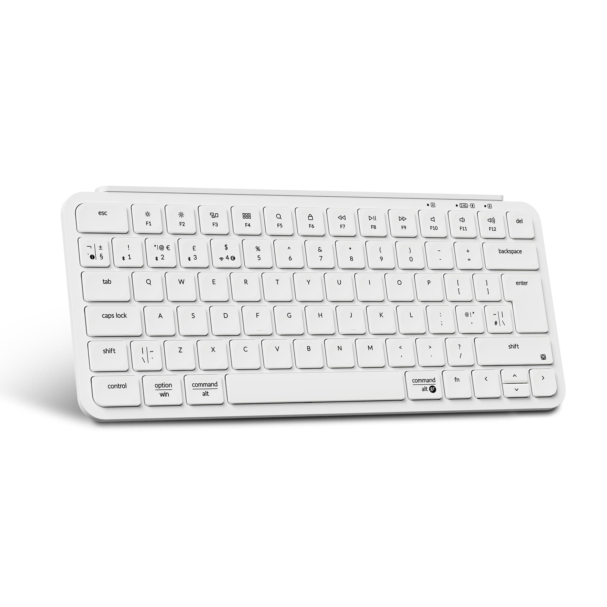 Ivory White