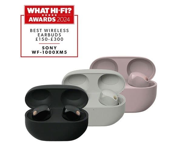 Sony WF-1000XM5 Wireless Noise Cancelling Earbuds - Smoky Pink - Image 3