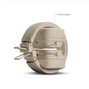 Marshall Major V Wireless On-Ear Headphones - Cream thumbnail 7
