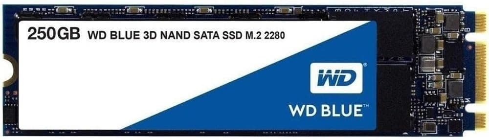 WD Blue 3D NAND SATA SSD WDS250G2B0B - SSD - 250 GB - internal - M.2 2280 - SATA 6Gb/s