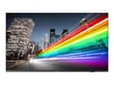 Philips B-Line 4K UHD Android Professional TV - 50-inch (50BFL2214) thumbnail 2