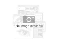 Microsoft Visio Professional 2024 - licence - 1 licence