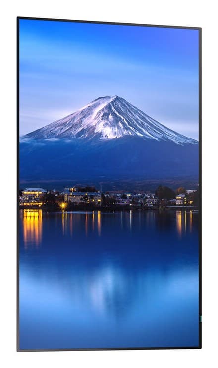 Sharp P506 Digital signage flat panel 127 cm (50") 700 cd/m² Black 24/7 - Image 3