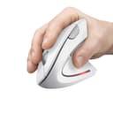 Trust Verto Vertical Ergonomic Wireless Mouse, White - Office, Right-Handed, RF 2.4GHz, Optical, 1600 DPI thumbnail 2