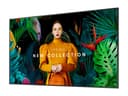 Samsung QBC Series Crystal UHD 4K Digital Signage Display 43" thumbnail 1