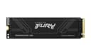 Kingston Technology 2T FURY RENEGADE G5 M.2 2280 NVMe SSD thumbnail 1