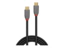 Lindy Anthra Line USB-C to USB-C Cable USB 3.2 Gen 2x2 20Gbps 100W PD 4K60 1.5m Black thumbnail 3