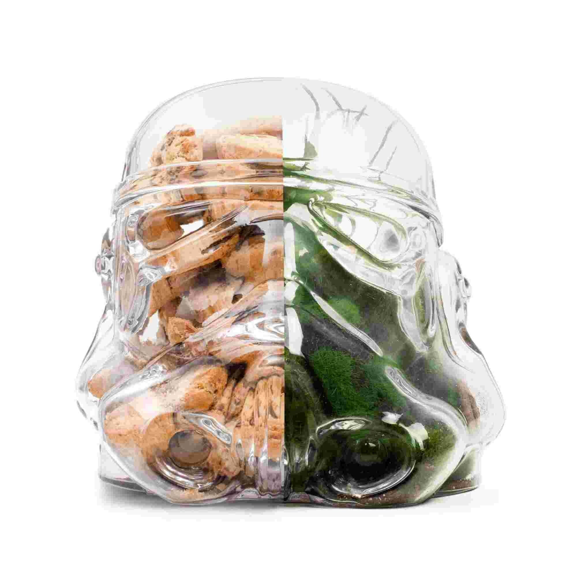 Thumbs Up Star Wars Original Stormtrooper Cookie Jar & Terrarium