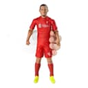 Banbo Van Dijk Liverpool Fully Articulated Figurine - 20cm thumbnail 7