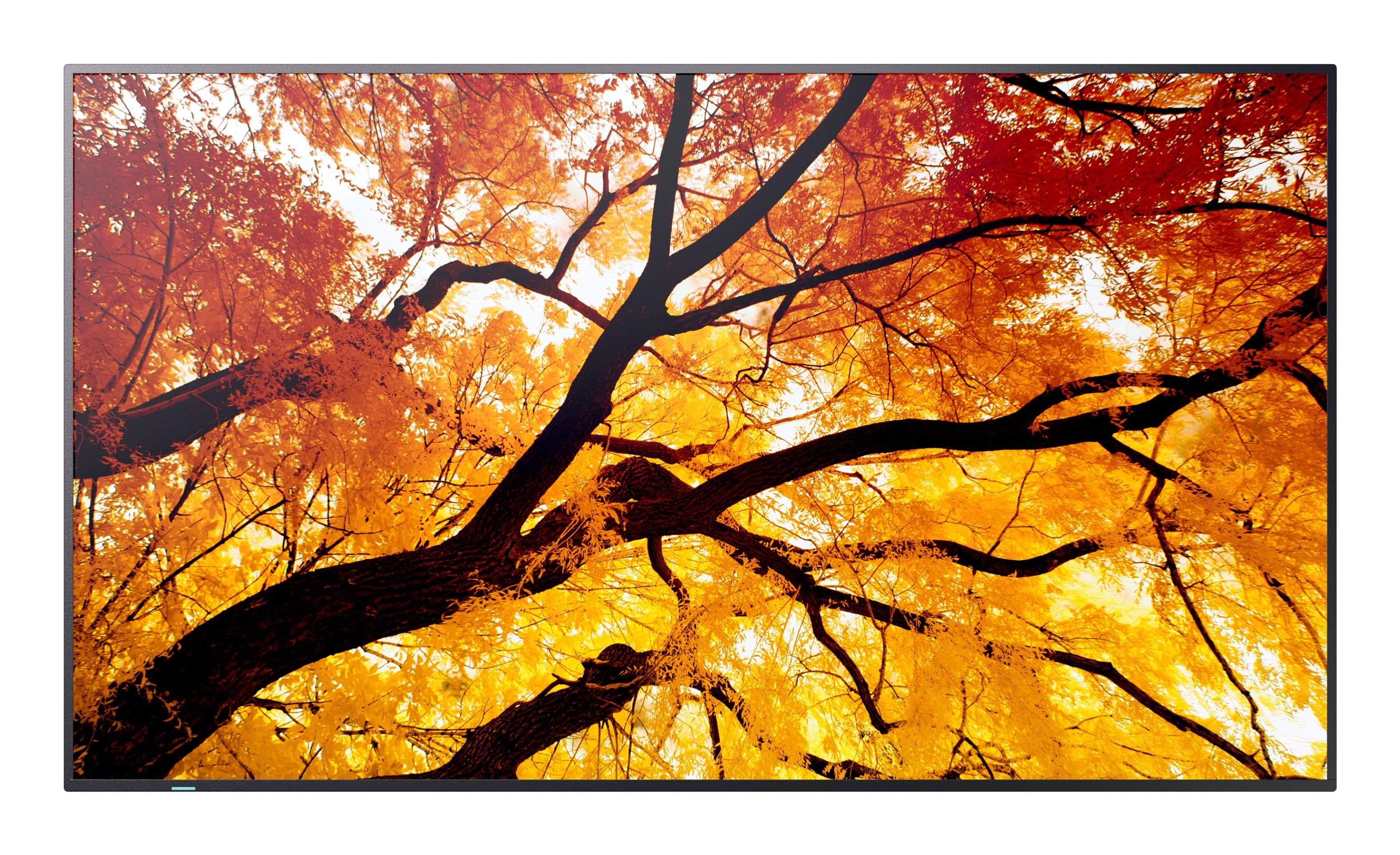 Sharp PN-M752 MultiSync M2 Series 4K Ultra HD LCD Digital Signage Display 550 cd/m² 24/7 Black - 75" (190.5 cm)