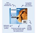 EPSON Cheetah T0711 Black Ink Cartridge thumbnail 3