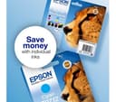EPSON Cheetah T0711 Black Ink Cartridge thumbnail 5