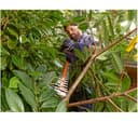 BLACK + DECKER BEHTS401-GB 500 W 55 cm Corded Hedge Trimmer with Sawblade thumbnail 8