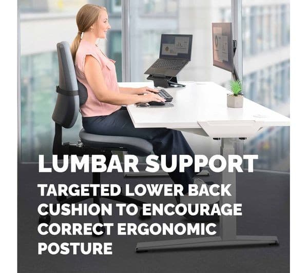 Fellowes Breyta Lumbar Back Support Cushion - Black (100119853) - Image 4