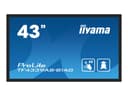 iiyama ProLite TF4339AS-B1AG 43" Class (42.5" viewable) LED-backlit LCD display - 4K - for digital signage thumbnail 1