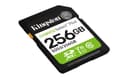 Kingston Canvas Select Plus Gen3 SDXC Class 10 UHS-I Memory Card 256GB (SDS3/256GB) thumbnail 2