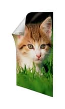 3M Command Poster Strips 17024, Small, White, Pack of 12 thumbnail 2