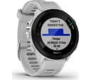 Garmin Forerunner 55 42mm GPS Running Smartwatch - Whitestone thumbnail 9