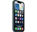 Apple iPhone 16e / 17e Silicone Case - Lake Green thumbnail 3