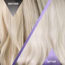 PROVOKE Touch Of Silver Purple Toning Dry Shampoo 200 ml, Neutralises Brassy Tones and Refreshes Hair, First Ever Dry Shampoo thumbnail 5
