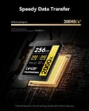Lexar Professional 2000x SD Card 256GB, SDXC UHS-II Memory Card, Up to 300MB/s Read, 260MB/s Write, Class 10, U3, V90 SDXC Card for DSLR, Full-HD Cinema-Quality 8K Video Cameras thumbnail 5